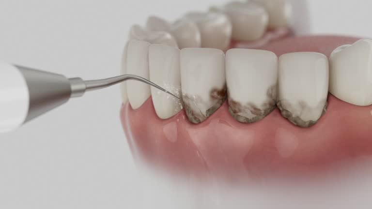 Reliable Dental contractor in Montrose, VA by Dentist Open Now